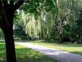 Photo of Clarkson Village park