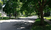 Photo of a street in Clearview neighbourhood