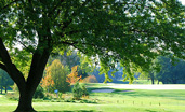 Photo of Lakeview Golf Course in Mississauga