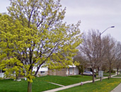 Photo of Mississauga Valley near McKenzie Park