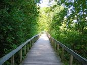 Photo of Rattray Marsh Trail